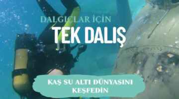Kaş Dalış